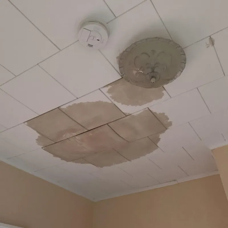 Ceiling Water Damage Repair in Webster County, IA