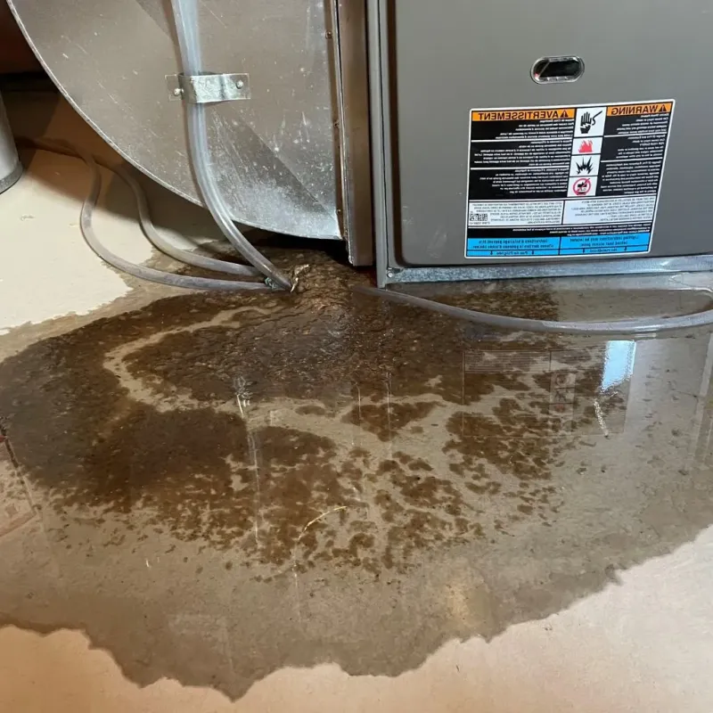 Pipe Burst and Leak Restoration in Webster County, IA