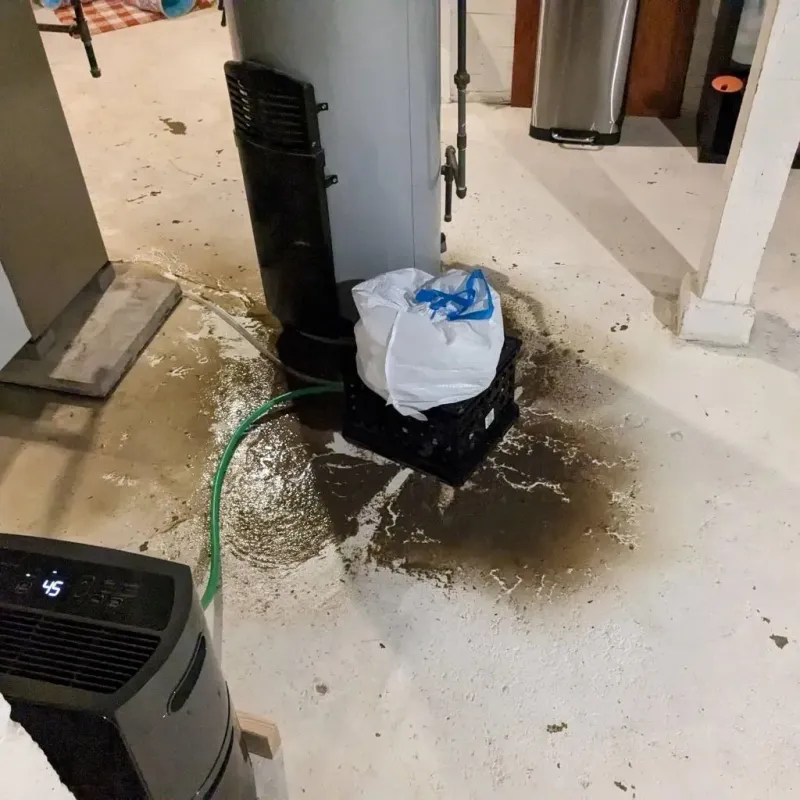 Sewage Backup Cleanup Service in Webster County, IA